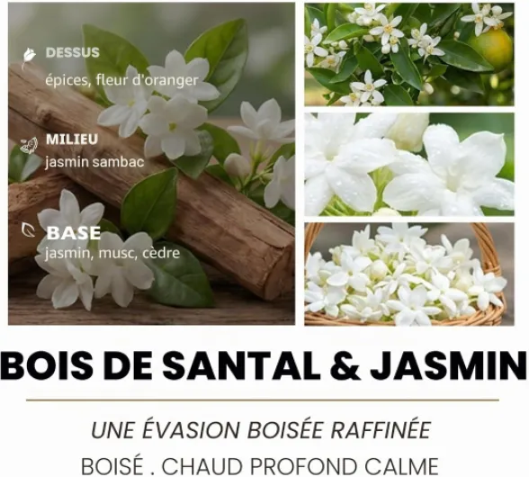 Home Lights Grande bougie parfumée en pot de luxe, cire de soja 100% naturelle, 33,51 oz, 3 mèches, très parfumée et longue durée, Bois de santal et jasmin
