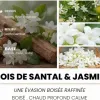 Test Home Lights Grande Bougie Bois de Santal & Jasmin : grosse bougie, gros parfum, quelques limites