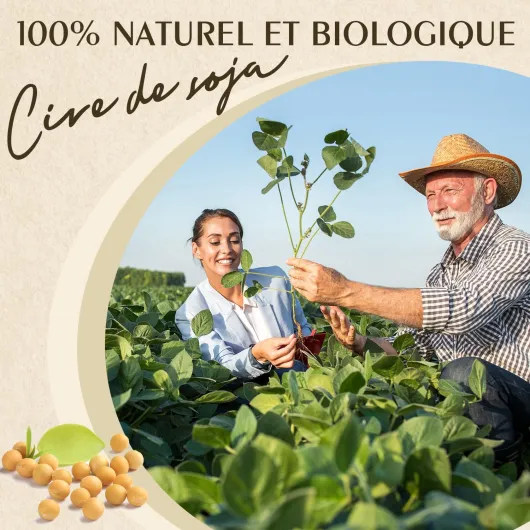 Cire de soja pour bougies, Cire premium pour bougies 20kg de Waxcanpy, Cire de soja écologique 100% naturelle pour bougies 20 kg