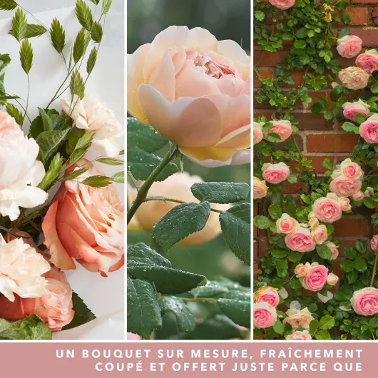 Grande Bougie en Jarre, Roses Fraîchement Coupées, 623 g