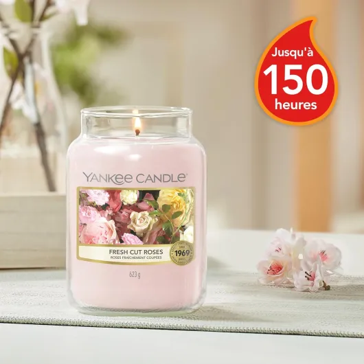 81ACukIctyL._AC_SL1500_