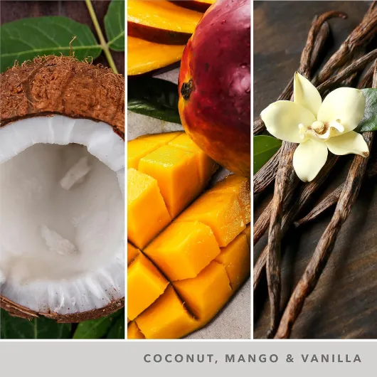 Bougie jarre parfumée - grande taille - Eau de Noix de Coco - jusqu’à 150 heures de combustion -Cadeaux de la fête des mères