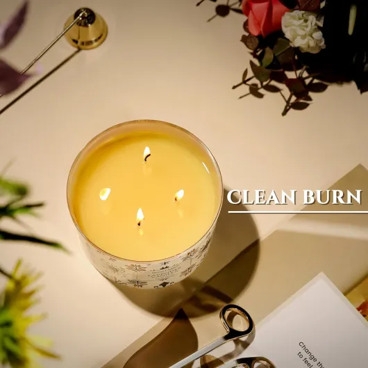 71vCEM6pijL._AC_SL1500_