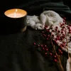 Bâtonnets pour diffuseur : l’art de parfumer votre intérieur avec élégance