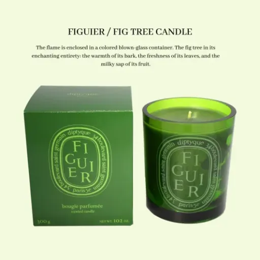 Test DIPTYQUE Figuier Bougie parfumée 300 g : la bougie qui sent le figuier… et le prix qui pique un peu