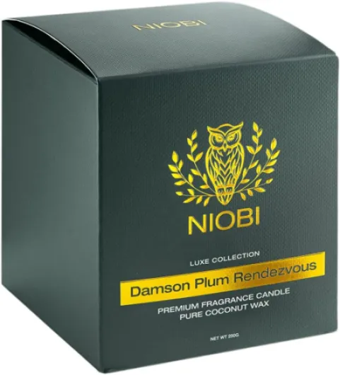 Bougie parfumée de luxe - Cire de noix de coco et de colza coulée à la main - Prune foncée, cerise noire et ambre - 250 g (Damson Plum Rendezvous) DAMSON PRUNE RENDEZVOUS