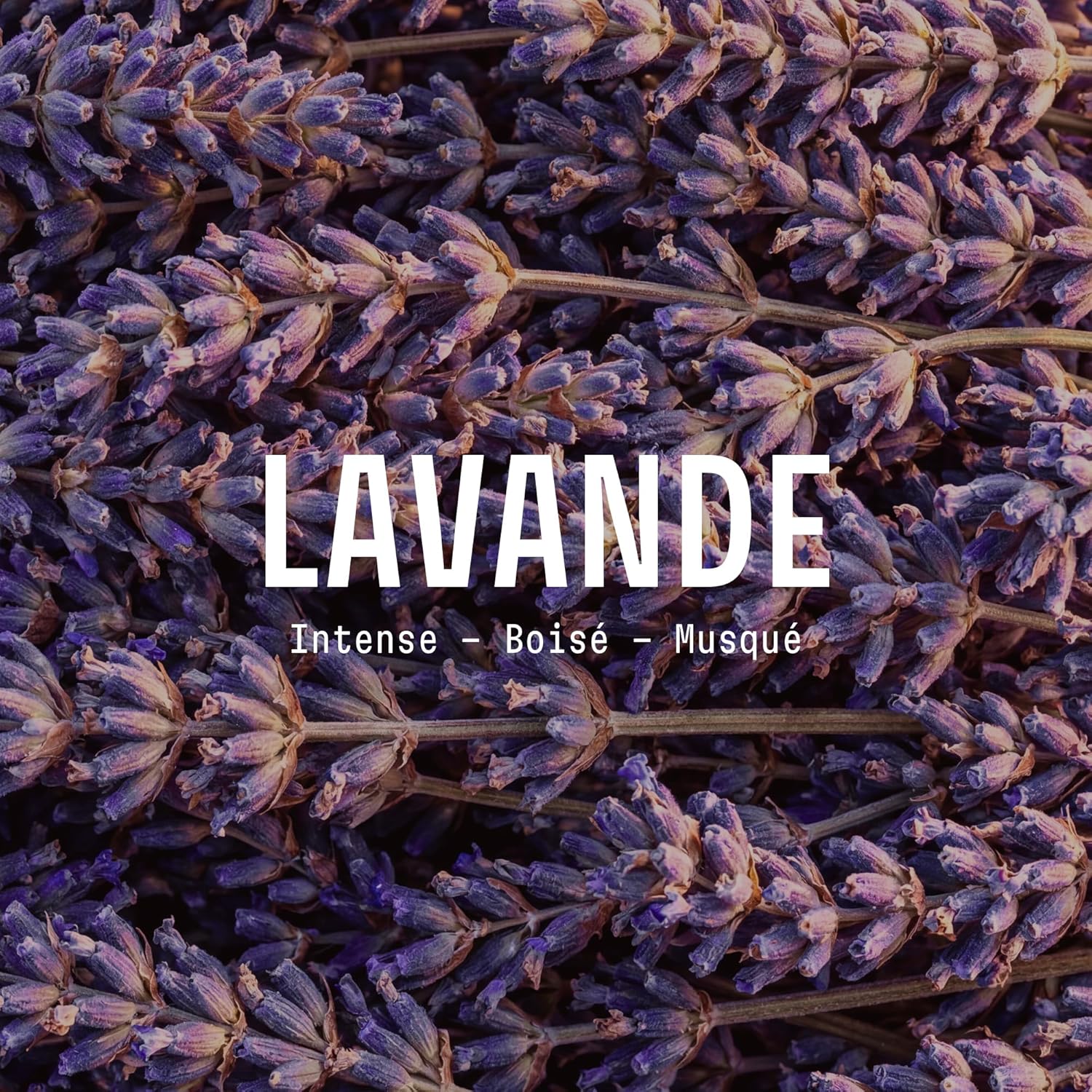 Bougie Parfumée Lavande & Bois Ambrés 180g - Bougie Végétale Parfumée Longue Durée 40h - Parfum Chaud et Enveloppant - Bougie Décorative - Fabriquée en Provence - Panier des Sens