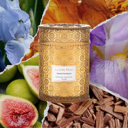 LA JOLIE MUSE Bougie parfumée à la cire de soja naturelle pour la maison, cadeau femme homme 539g santal-Himalaya Marron