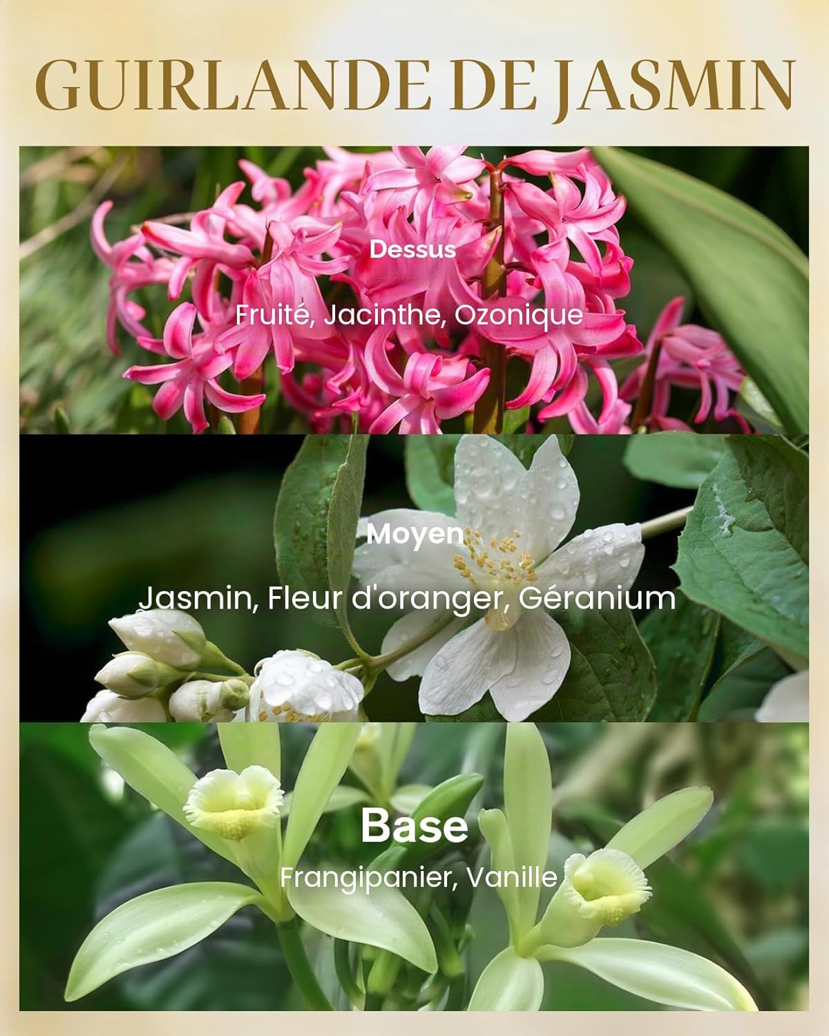 M&SENSE Bougie parfumées au jasmin dans un grand verre 3 mèches fortement parfumée 990g 150 heures de combustion Bougie d'aromathérapie naturelle en cire de soja pour le soulagement Ghirlanda Di Gelsomino 990 g