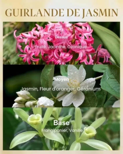 M&SENSE Bougie parfumées au jasmin dans un grand verre 3 mèches fortement parfumée 990g 150 heures de combustion Bougie d'aromathérapie naturelle en cire de soja pour le soulagement Ghirlanda Di Gelsomino 990 g