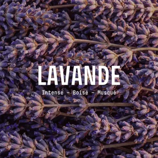 Test Bougie Parfumée Lavande & Bois Ambrés Panier des Sens : une bougie qui sent bon le soir sans faire mal à la tête