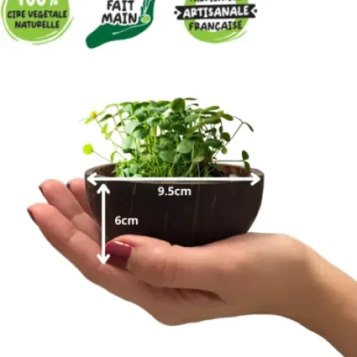 Test Bougie parfumée FLOREA noix de coco Fleur de Tiaré : la bougie qui se recycle en pot de plante