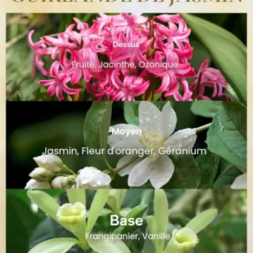 Test M&SENSE Bougie Jasmin 3 mèches : grosse bougie, gros parfum, quelques bémols